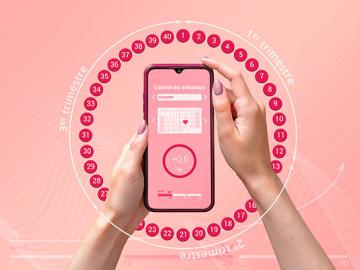 8 datos curiosos sobre la ovulación Aplicación móvil para el control del embarazo